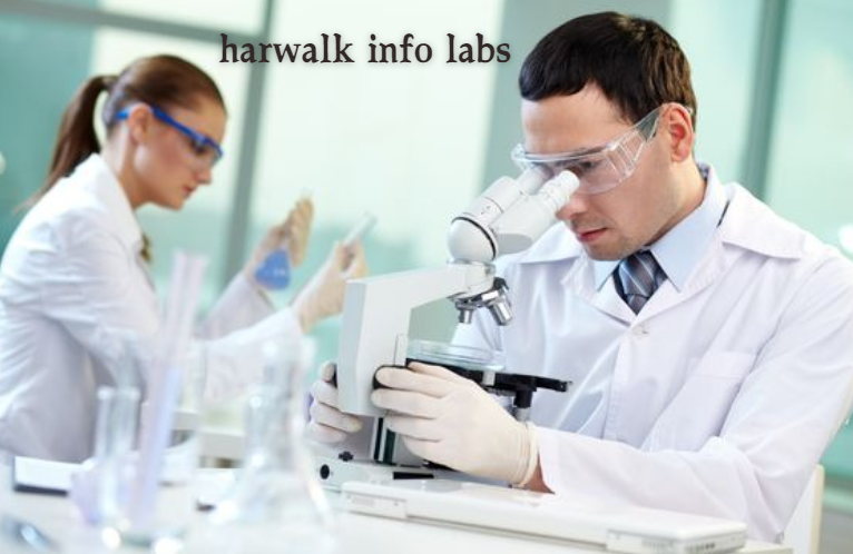 Harwalk Info Labs